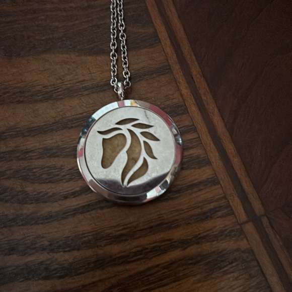 Silver air diffuser Locket Necklace with horse head - Picture 1 of 4